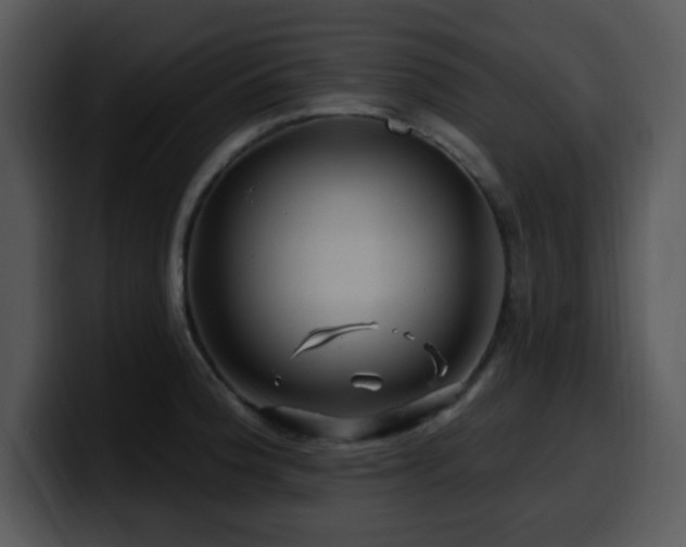 X0000100391188200806061248