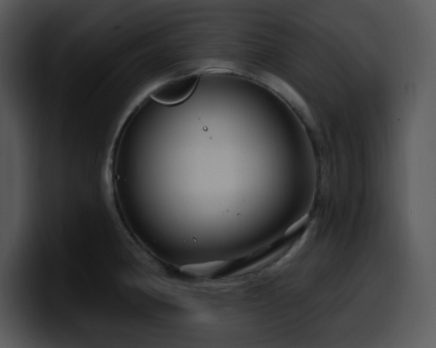 X0000100391190200806061248