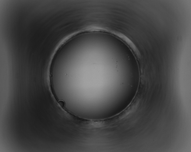 X0000100391191200806061248