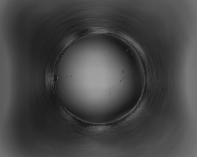 X0000100391193200806061248