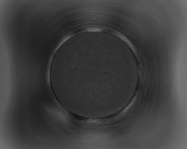 X0000100391194200806061248