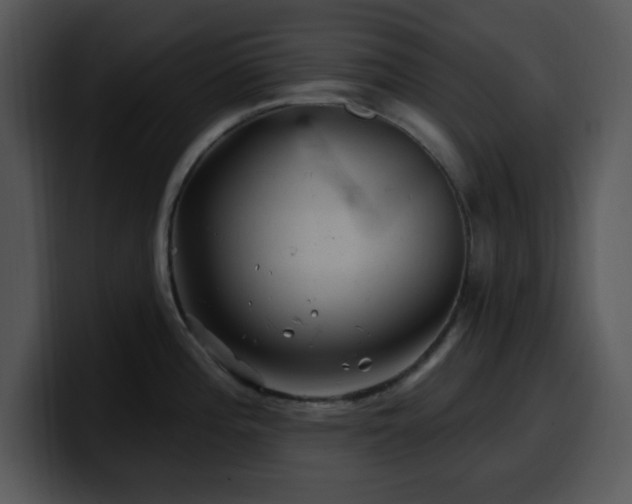 X0000100391196200806061248