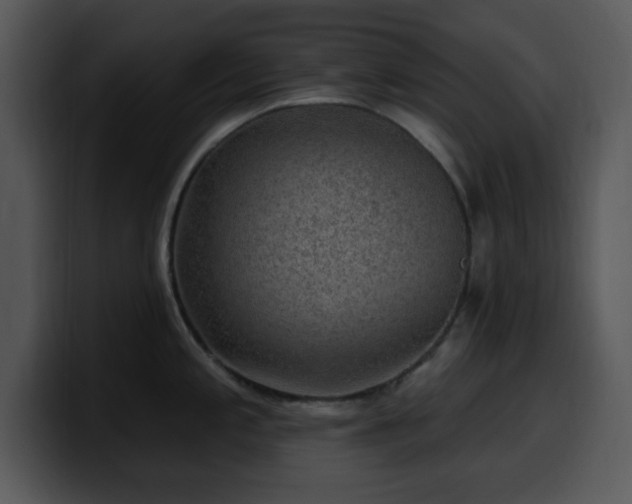 X0000100391197200806061248