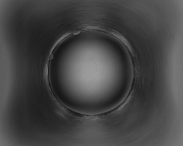 X0000100391198200806061247