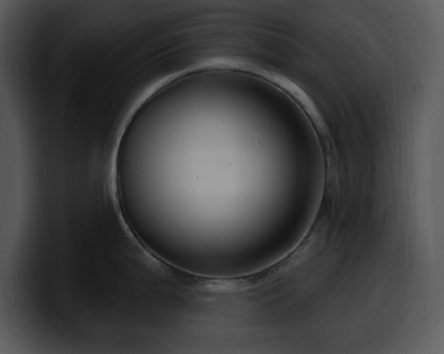 X0000100391199200806061247