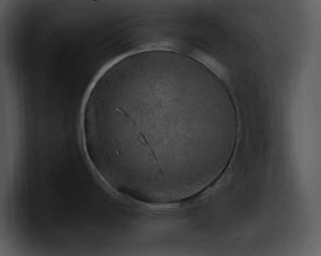 X0000100391200200806061247