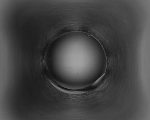 X0000100391202200806061247