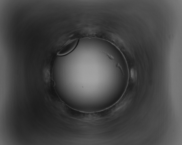 X0000100391203200806061247