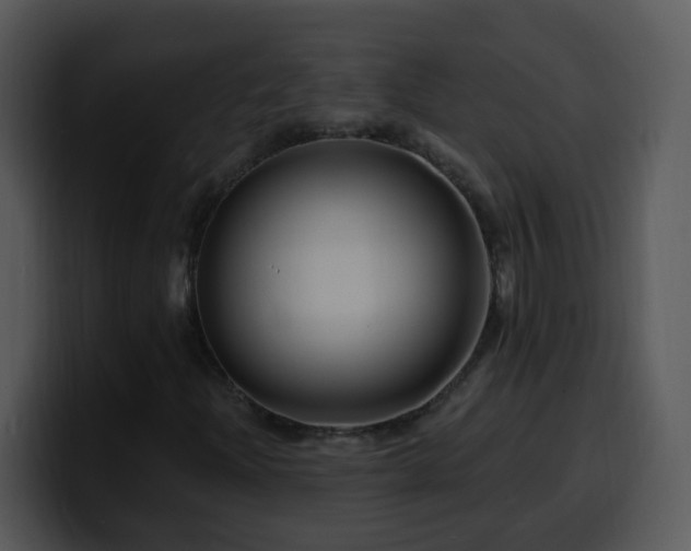 X0000100391204200806061247