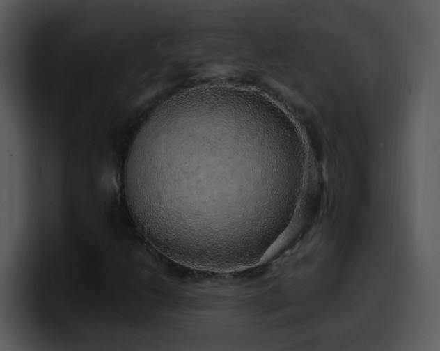 X0000100391206200806061247