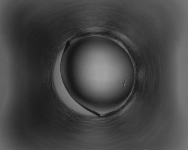 X0000100391209200806061247