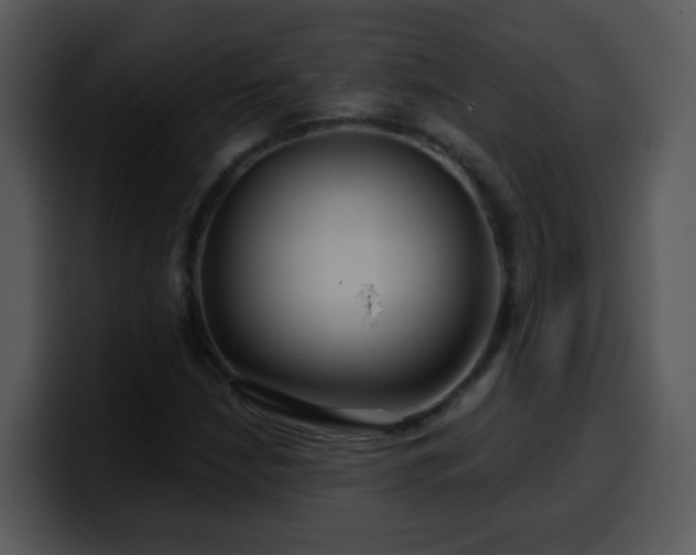 X0000100391210200806061247
