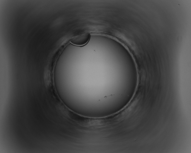 X0000100391211200806061247