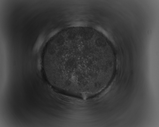X0000100391213200806061247