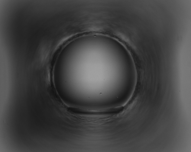 X0000100391214200806061247