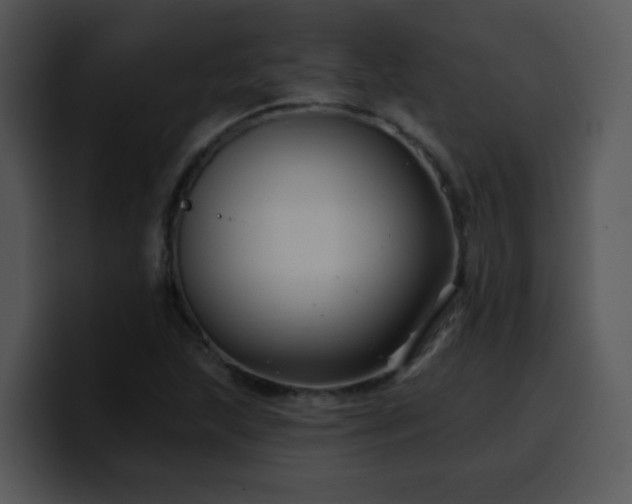 X0000100391215200806061247