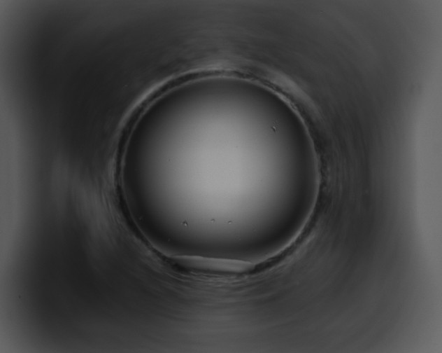 X0000100391216200806061247