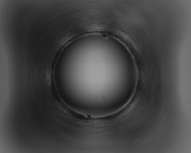 X0000100391217200806061247