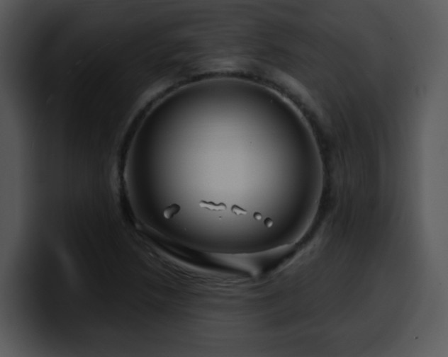 X0000100391218200806061247