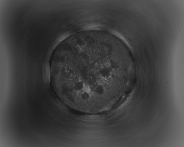 X0000100391219200806061247