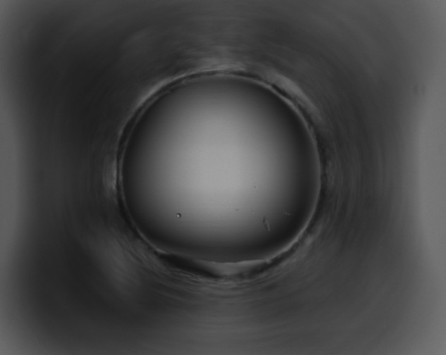 X0000100391220200806061247