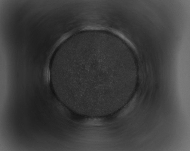 X0000100391221200806061247