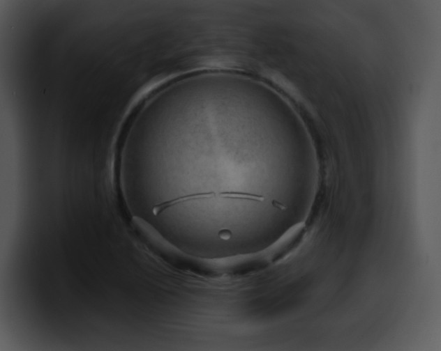 X0000100391222200806061247