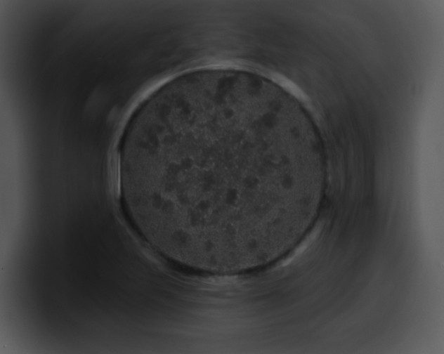 X0000100391223200806061247