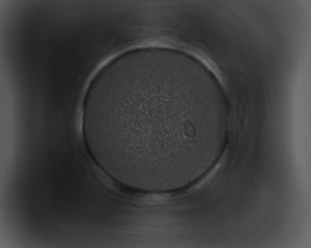 X0000100391224200806061247