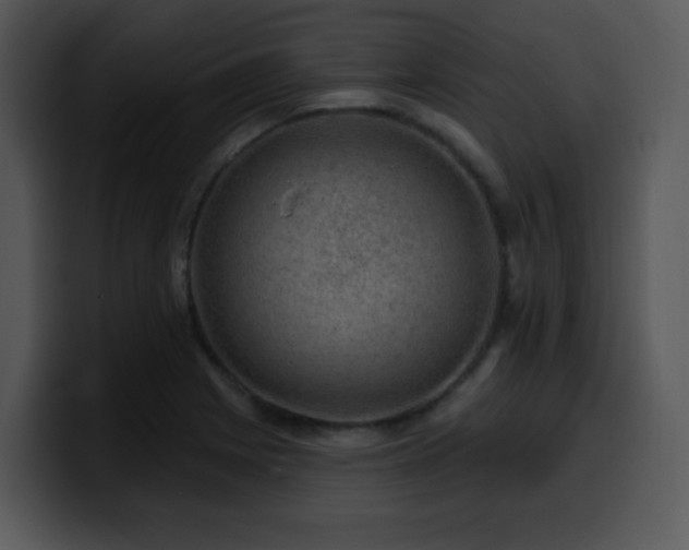X0000100391225200806061247