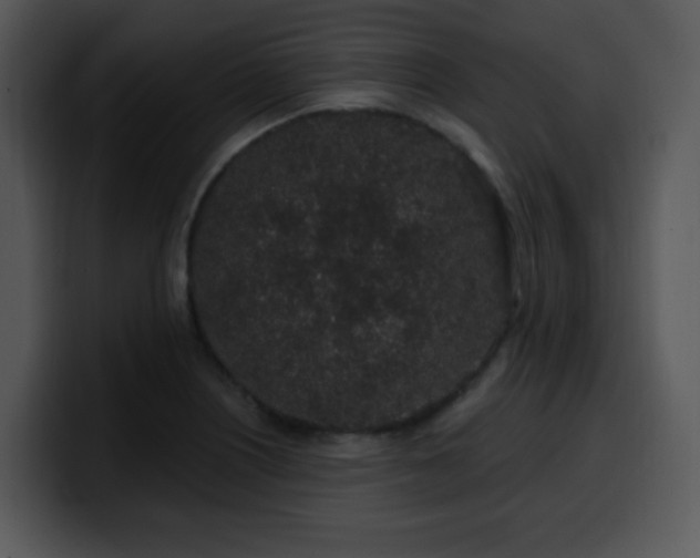 X0000100391226200806061247