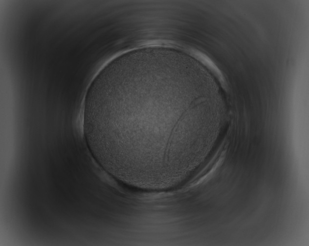 X0000100391228200806061247