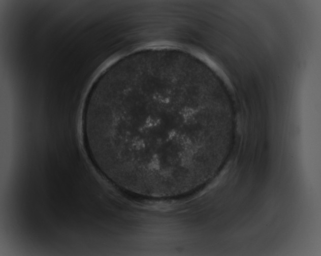 X0000100391229200806061247