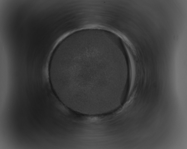 X0000100391230200806061247