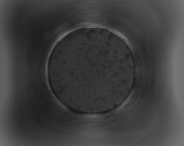 X0000100391231200806061247