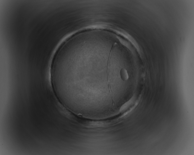 X0000100391232200806061247