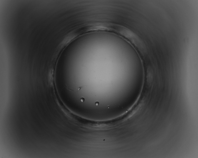X0000100391233200806061247