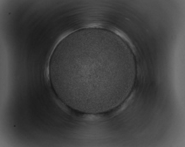 X0000100391234200806061247