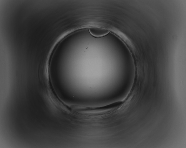 X0000100391238200806061247