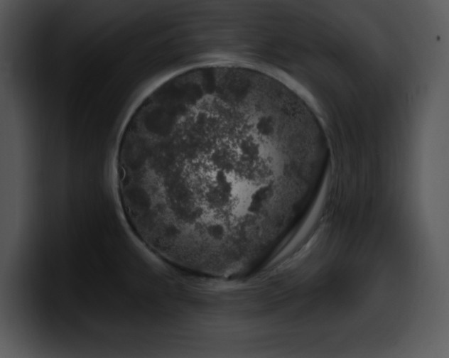 X0000100391239200806061247