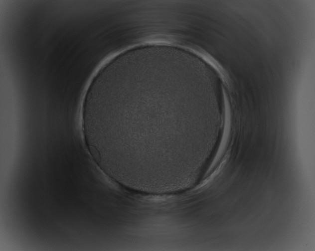 X0000100391240200806061247