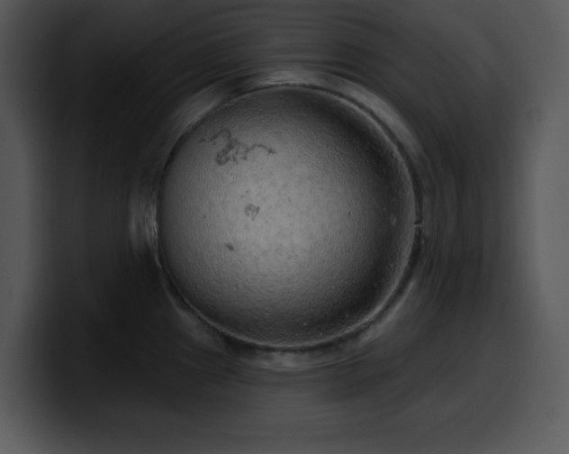 X0000100391241200806061247