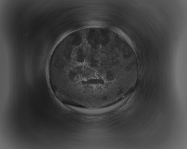X0000100391243200806061247