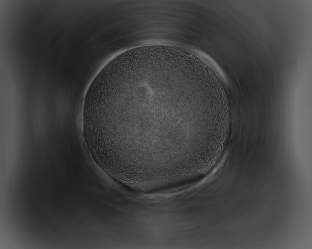 X0000100391244200806061247