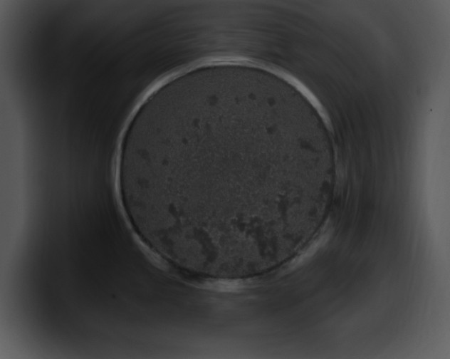 X0000100391245200806061247