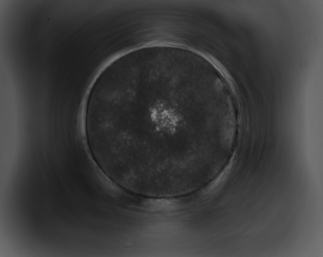 X0000100391246200806061247
