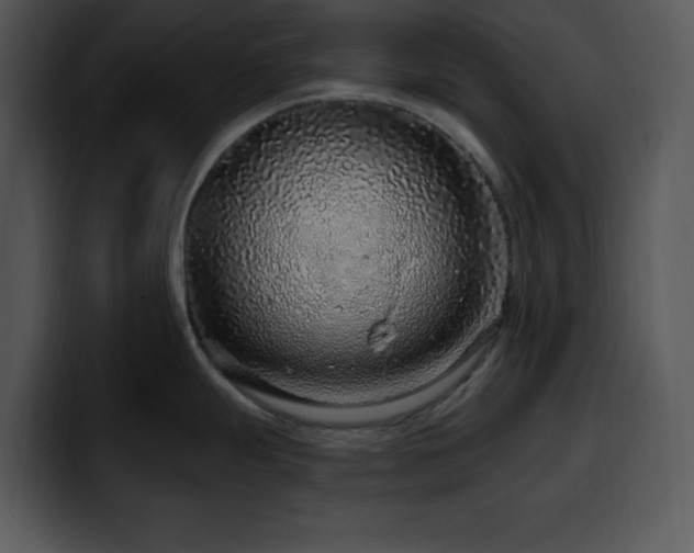 X0000100391247200806061247