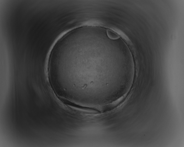 X0000100391248200806061247