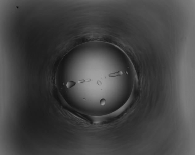 X0000100391250200806061247