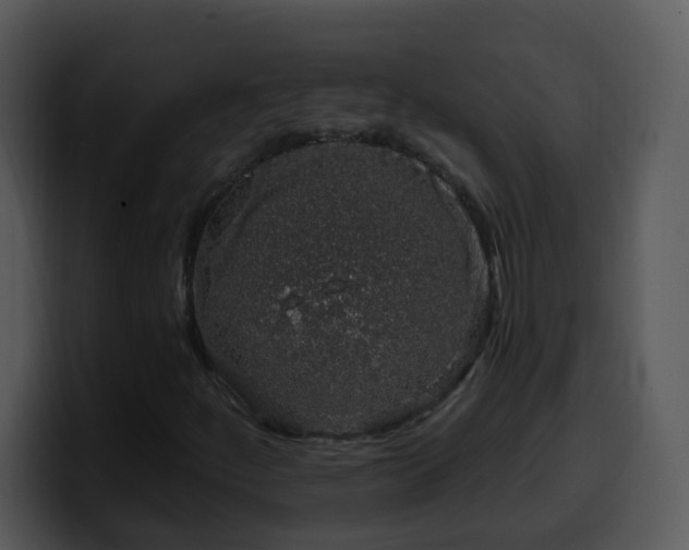X0000100391252200806061247